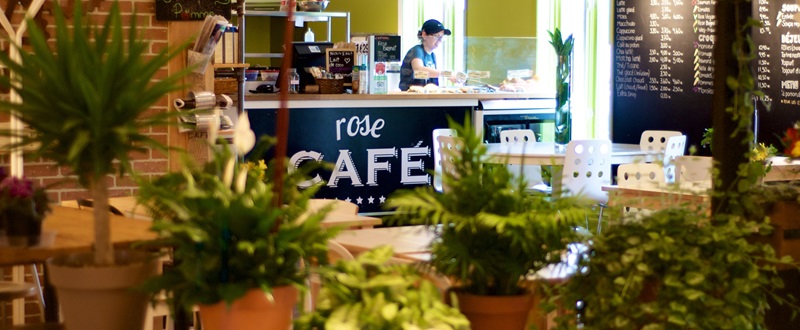 Rose Drummond - Coffee shop