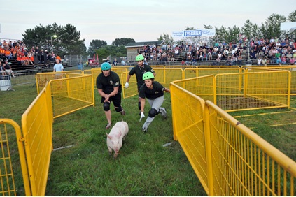 FESTIVAL DU COCHON (Sainte-Perpétue) - Shows and events - What to do ...